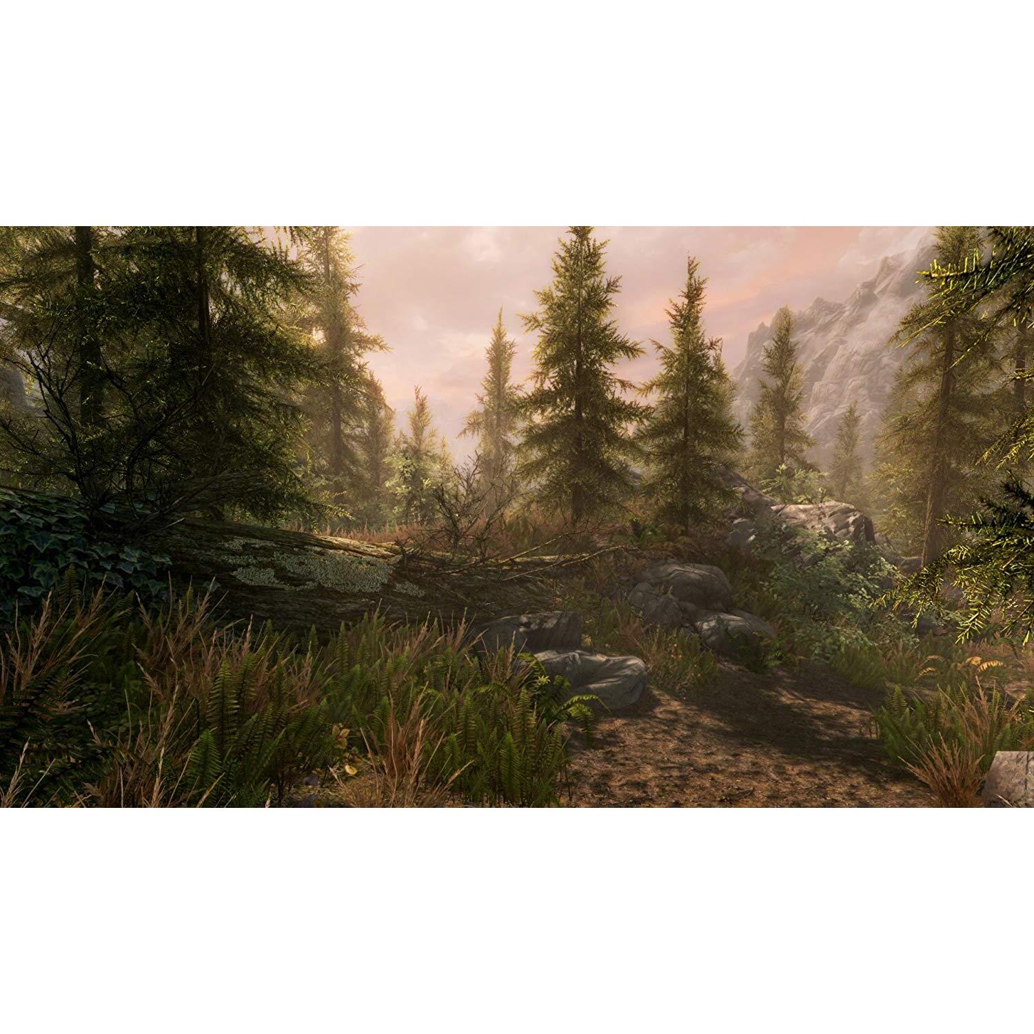 Skyrim for clearance xbox 360